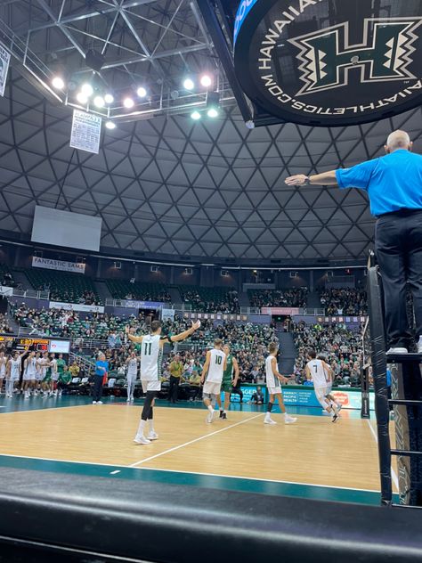 mens college volleyball Volleyball Men, Hawaii Men, College Volleyball, Volleyball Positions, Mens Volleyball, Hawaii Life, The Court, Volleyball, Hawaii