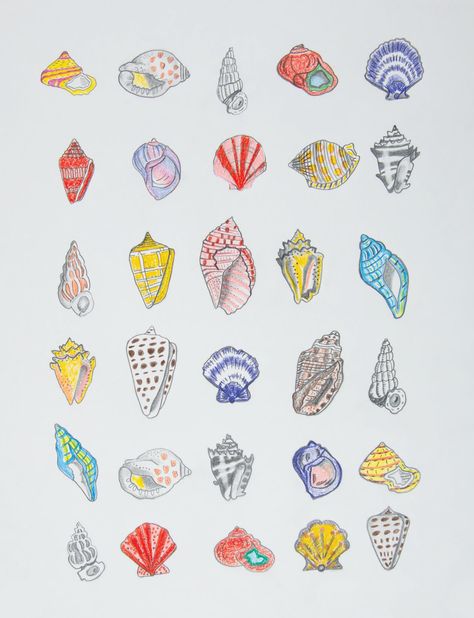 This colorful seashell art print is the perfect addition to any room. This composition is titled "Home" and comprises 30 beautiful shells in a portrait orientation. All prints are printed on White Linen 80lb Cover Paper. All prints fit a standard 11x14 Frame. No frame nor matting are included. More about the Shelter series: My series "Shelter" comprises six compositions, with the first of the same name. The works are rooted in the comfort of home--a safe, warm, and loved feeling. Home--a place that provides solitude, escape, hiding, and healing.  In 2023, I lost my mother and also became a mother for the second time. My intangible home, shelter, and place of comfort were gone--yet simultaneously, I was providing this for my new baby. Through this, I learned that two things can be true at o Seashell Tattoo Color, Coloring Seashells, Shelter Series, I Lost My Mother, Seashell Drawing, Home Shelter, Shell Drawing, Colored Pencil Art Projects, Seashell Tattoos