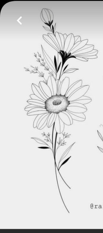 Vintage Flower Tattoo Black And White, Gerber Daisy Tattoo, Gerbera Daisy Tattoo, Tableau Relief, Marguerite Flower, Tattoo Stencil Designs, Daisy Tattoo Designs, Vintage Flower Tattoo, Flor Tattoo