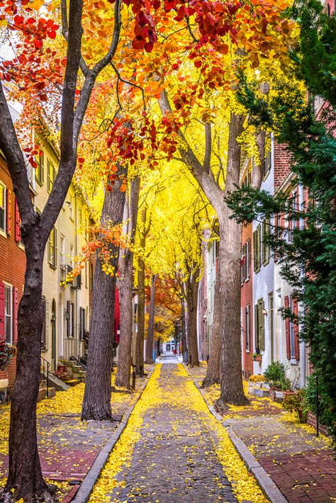 Philadelphia Autumn Streets by SeanPavonePhoto. Philadelphia, Pennsylvania, USA alley in the fall. #Sponsored #Streets, #SeanPavonePhoto, #Philadelphia, #Autumn Philadelphia Street, Philadelphia City Hall, Historic Philadelphia, Autumn Art Print, Jack Ma, Art Prints Wall, Free Art Prints, Philadelphia Pennsylvania, American Cities