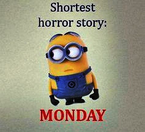 Minion Meme, Minion Humour, Minion Humor, Short Horror Stories, Funny Minion Pictures, Funny Minion Memes, Minion Memes, Minion Pictures, Minion Jokes