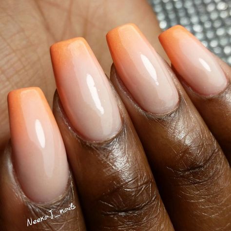 8,432 Followers, 565 Following, 851 Posts - See Instagram photos and videos from Neeka J. (@neekaj_nails) Coral Ombre Nails, Coral Ombre, Orange Creamsicle, Ombre Nails, How To Do Nails, Beautiful Nails, Nail Inspo, Orlando, Hair Stylist