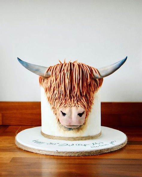 Highland Cow Birthday Cake, Highland Cow Cake, Highland Cow Birthday, Cow Birthday Cake, Cow Cake, Cow Cakes, Birthday Sweets, Cute Highland Cow, Cow Birthday