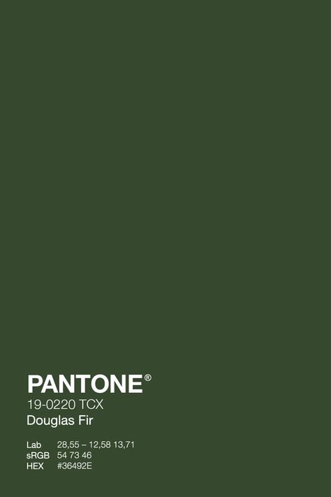 Get ready for winter with the fresh and cozy PANTONE Gouglas Fir 19-0220 TCX green. This color will give your wardrobe an instant refresh and keep you feeling warm without compromising style. Get your grinch on early with green! #PantoNE #PineGrove #WinterWardrobe #green #wintercolor Forest Green Color Swatch, Pantone Dark Green Shades, Pantone Shades Of Green, Forest Green Shades, Dark Green Color Swatch, Fall Green Aesthetic, Green Pantone Colors, Green Pantone Palette, Forest Green Pantone