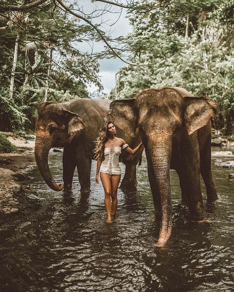 Elephant Photography, Vacation Goals, Africa Do Sul, Save The Elephants, Chiang Mai Thailand, Honeymoon Travel, Chiang Mai, Travel Inspo, South Of France