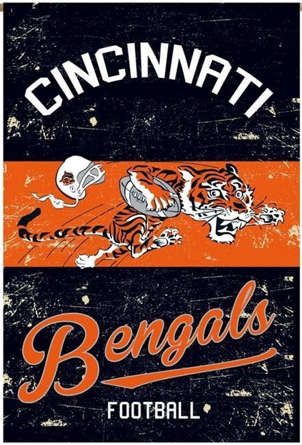 Cincinatti Bengals, American Flag Banner, Vertical House, Cincinnati Bengals Football, Texas State Flag, Bengals Football, Outdoors Tattoo, Nfl Cheerleaders, Nfl Sports