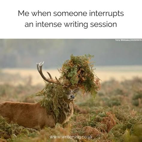 Writing Room Ideas, Art Fireplace, Writers Retreat, Double Recliner, Writer Problems, Become More Organized, Writing Problems, Writer Memes, Writing Room