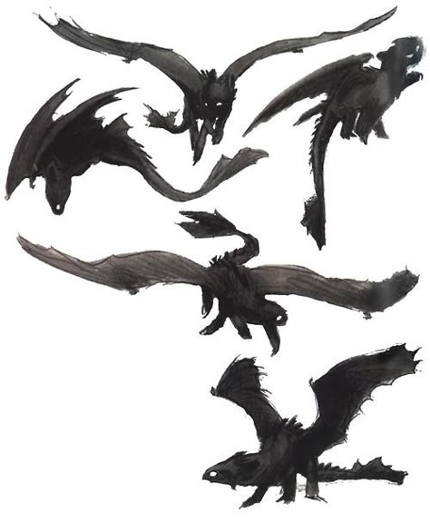 httyd2 Dragon Concept Art, Dragon Concept, Night Fury Dragon, Httyd Art, Dragon Sketch, Httyd Dragons, Dragon Trainer, Night Fury, Dreamworks Animation