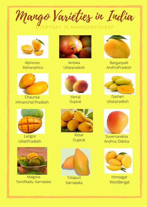 Mango Varieties, Mango, India, Fruit, Quick Saves