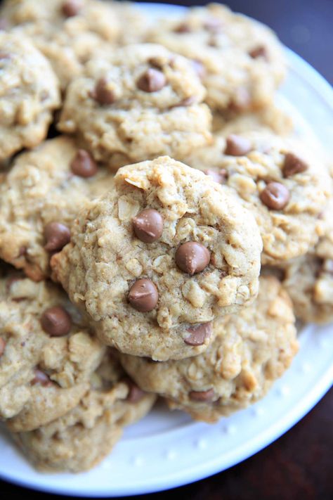 Healthy Lactation Cookies, Food For Breastfeeding Moms, Lactation Cookies Recipe, Cookies Gluten Free, Breastfeeding Foods, Lactation Recipes, Peanut Recipes, Chocolate Chip Cookies Recipe, Baby Finger Foods