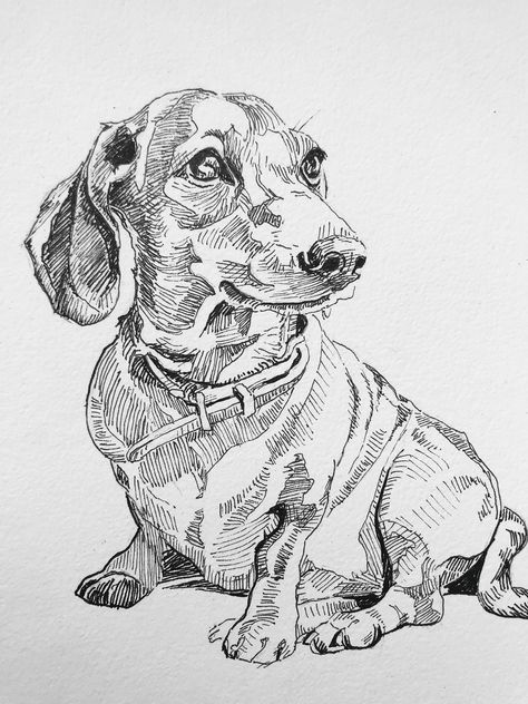 Pet Drawings Easy, Puppy Crafts, Mini Portrait, Black White Portrait, Pet Picture, Dog Drawings, Pet Drawing, Drawing Dog, Pencil Sketch Images