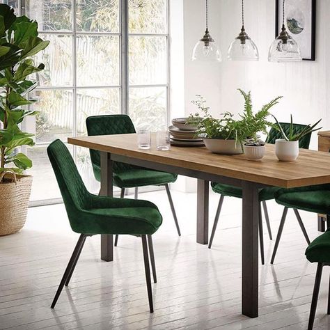 This fresh green dining room can be created with pieces from our Spring collections - see Arboretum faux foliage, Alfa green velvet chairs and Foundry rustic dining table  Image spotted  @nilifestyle  #springfresh #greeninteriors #fauxplants #interiordesign #interiorstyle #interiors #furniture #diningroom #diningtable #fauxplants #greenvelvet #velvetchair #greenvelvetchair #scandistyle #furniture #homedecor #homestyle Green Chairs, Green Velvet Chair, Green Dining Room, Solid Oak Table, Oak Table Top, Red Living, Green Dining Chairs, Swivel Dining Chairs, Barker And Stonehouse