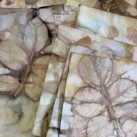 Eco Printing Tutorial, Eco Printing Textiles, Eco Dyeing Fabric, Letter Card, Sun Prints, Eco Dyeing, Eco Print, Textil Design, Eco Fabric