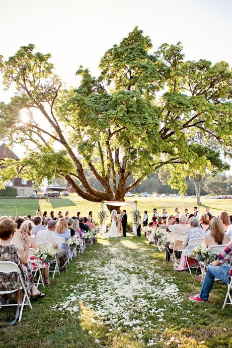 I really like the idea of getting married in front of a tree. Tiffany Blue Bridesmaids, Tiffany Blue Bridesmaid Dresses, Tree Wedding Ceremony, Deco Champetre, Wedding Arbour, Outside Wedding, Oregon Wedding, Tree Wedding, Trendy Wedding