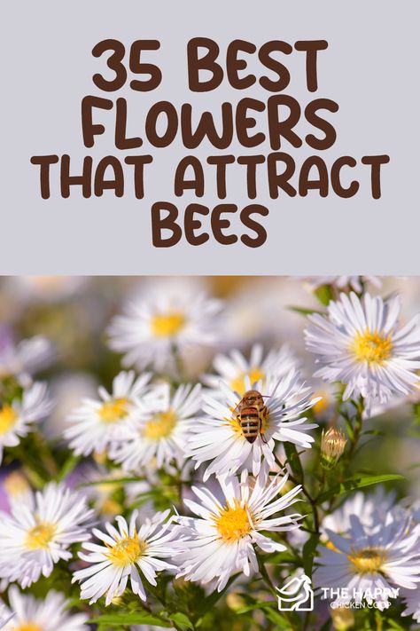 What are the best flowers to attract bees? Check out 35 gorgeous flowering plants that can help you create a bee-friendly habitat. Bees Favorite Flowers, Flowers That Bees Like, Flowers To Attract Bees, Bee Attracting Flowers, Chive Flowers, Honey Bee Flowers, Honey Bee Garden, Shade Loving Flowers, South African Flowers