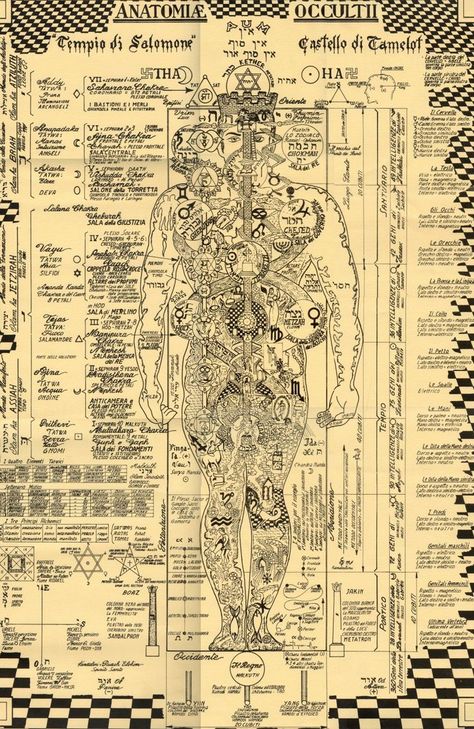 Occult anatomy of the human figure Occult Anatomy, Starověký Egypt, Arte Occulta, Human Body Art, Alchemy Symbols, The Occult, Occult Art, Ancient Knowledge, Les Chakras