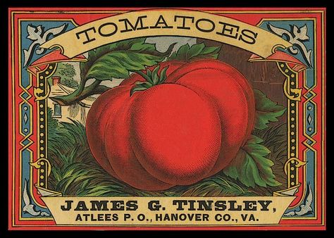 Tomatoes150    And THIS PLACE is the motherload of eclectic ephemera Vintage Food Labels, Vegetable Crate Labels, Fruit Health, Vegetable Crates, Vintage Seed Packets, Vintage Crate, Etiquette Vintage, Fruit Crate, Crate Label