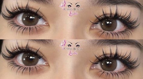 Barbie Eyelash Extension, Manhwa Eyelash Extensions, 6d Lash Extensions, Top And Bottom Lashes Extensions, Wispy Top And Bottom Lashes, Anime Manga Lashes Extensions, Eyelash Extensions Anime Style, Canny Beauty Lashes, Anime Style Eyelash Extensions