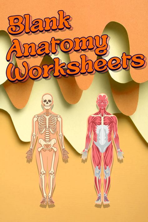 12 Images of Blank Anatomy Worksheets Anatomical Body Drawing, Free Anatomy And Physiology Study Printables, Anatomy And Physiology Cover Page, Anatomy And Physiology Study Printables, Anatomy Practice Study, Anatomy Template, Human Eye Diagram, Anatomy And Physiology Notes, Anatomy Worksheets