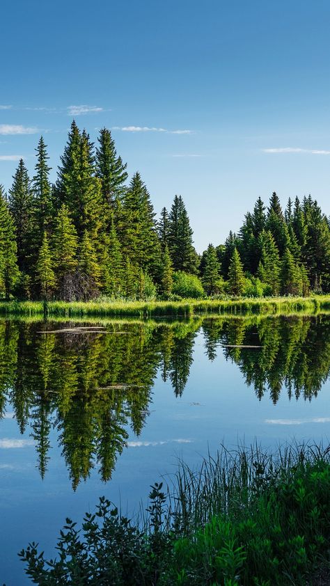 Lake Sky Forest Trees, #Sky, #Forest, #Trees, #Lake Mini Canvas Painting Ideas, Love Canvas Painting, Canvas Painting Ideas For Beginners, Canvas Painting For Beginners, Large Canvas Painting, Acrylic Painting Ideas, Lake Photography, Painting Ideas For Beginners, Evergreen Forest