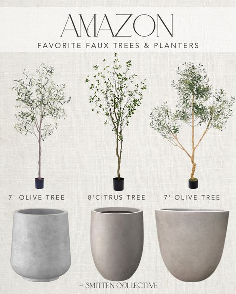 Phimos 7FT Artificial Olive Tree … curated on LTK Olive Trees Landscape Front Yards, Indoor Tree Planter Pots, Fake Olive Tree Home Decor, Indoor Olive Trees In Pots, Olive Tree Decor Ideas, Olive Tree Pot, Olive Tree Planter, Olive Trees In Pots, Sweet Olive Tree