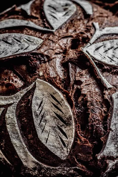 Chocolate Sourdough Bread Recipe, Chocolate Sourdough Bread, Chocolate Sourdough, Easy Sourdough Bread, Easy Sourdough Bread Recipe, Everything Sourdough, Recipe Using Sourdough Starter, Breads Recipes, Sourdough Bread Recipes