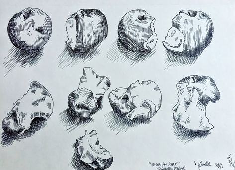 A sequential ink drawing of an apple bring devoured, done during a sketchbook skool live draw session.  I’m enjoying ink drawing again!  #inkdrawing #hatching #apple #inkonpaper #blackandwhitedrawing #everydaylifeisart #dailyillustration #mylifemyart #artbykguilmette #drawwithme #sketchbookskool #foodillustration Sequential Drawing, Drawing Of An Apple, Memories Drawing, Sequential Illustration, Apple Sketch, Drawing Apple, Perspective Drawing Lessons, Pen And Ink Drawings, Ink And Watercolour