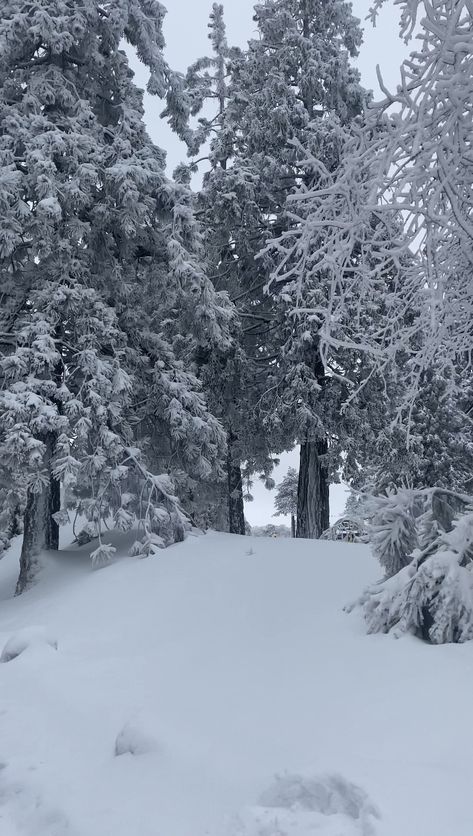 Big Bear Aesthetic Snow, Big Bear Aesthetic, Big Bear Winter, Big Bear Snow, Snowy Places, Blue Lifestyle, Snowy Weather, Snow Trip, Snow Days