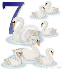 seven swans a swimming clip art - Google Search 12 Days Of Christmas Illustration, 7 Swans A Swimming, Swimming Ideas, Seven Swans, 12 Days Of Xmas, The 12 Days Of Christmas, Twelve Days Of Christmas, Christmas Quilt, Christmas Illustration