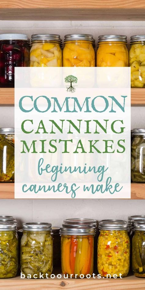 Pantry Basics, Canning Granny, Canning Equipment, Easy Canning, Pressure Canning Recipes, Eat Meals, Canning 101, Modern Homestead, Low Acid Recipes