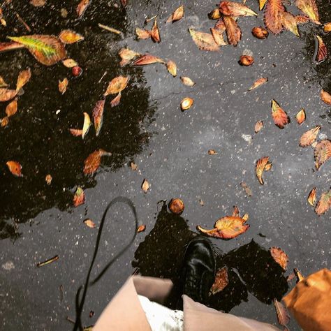 Instagram post by Tami. • Oct 1, 2020 at 5:57pm UTC Autumn Fall Aesthetic, Rain And Coffee, Cozy Rainy Day, Fall Friends, Rainy Day Aesthetic, Fall Dates, Autumn Rain, Fall Photoshoot, Fall Pictures