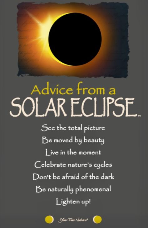 Afraid Of The Dark, Solar Eclipse, Dont Be Afraid, Happy Monday, Positive Thinking, Beauty Health, The Darkest, Solar, In This Moment