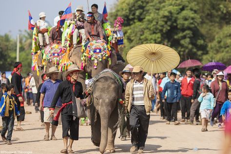 The elephant is considered as a national animal in Laos for a very long time. For years, it has been the symbol of propensity and represents the strength of the nation. In Laos, people pay their respect for this special animal through festivals and ceremonies. Let’s find out the reason behind it and take one step closer to Laotian belief and culture. Dog Captions For Insta, Laos Country, Laos Culture, Laos Travel, Wild Elephant, National Animal, Legends And Myths, Vientiane, Luang Prabang