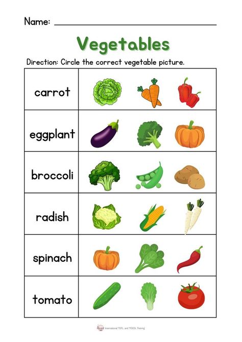 Here's a fun worksheet about vegetables. Students circle the correct vegetable picture. Vegetable Worksheet, My Busy Books, Teach English To Kids, Space For Kids, Printable Alphabet Worksheets, Fun Worksheets For Kids, Abc Worksheets, Kids Vegetables, Vegetable Pictures