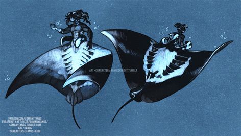 Concept Art Tutorial, Mermaid Drawings, Mermaids And Mermen, Manta Ray, Fantasy Creatures Art, Mermaid Art, Creature Concept, Monster Art, 영감을 주는 캐릭터