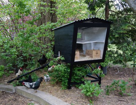 Chicken coopDimitri VroonenSint-Truiden 2013A new chicken coop to see the chickens from the house, raised against predators and moisture.In the chicken coop, five nest boxes are provided.The entrance can be locked at night. For... Urban Chicken Coop, Quail Coop, Small Chicken Coops, Shade Grass, Chicken Tractors, Coop Design, Chicken Run, Worm Composting, Chicken Coop Designs