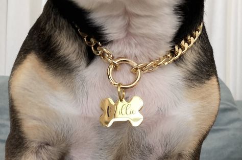 Dog Chain Collar, Chain Dog Collar, Dog Necklace Collar, Dog Accesories, Dog Collar Charms, Dog Chain, Dog Room, Luxury Dog Collars, Engraved Dog Tags