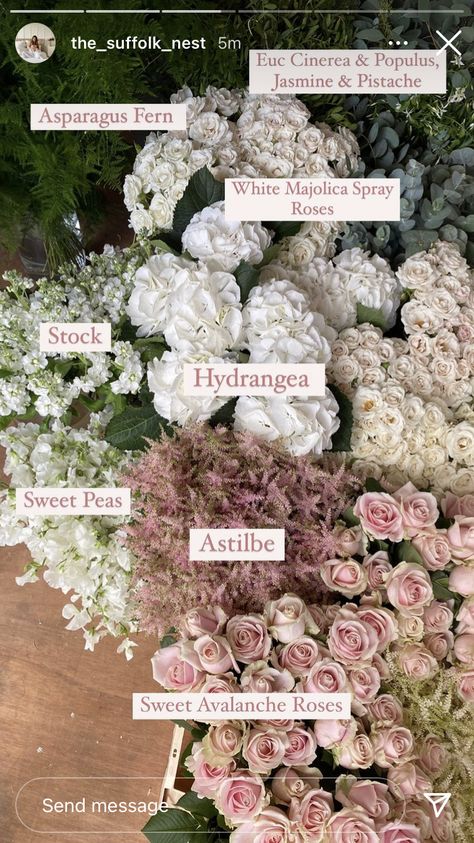 Asparagus Fern, Diy Arrangements, Boquette Flowers, Flower Meanings, Nothing But Flowers, Flower Therapy, Floral Shop, Spray Roses, Flower Farm