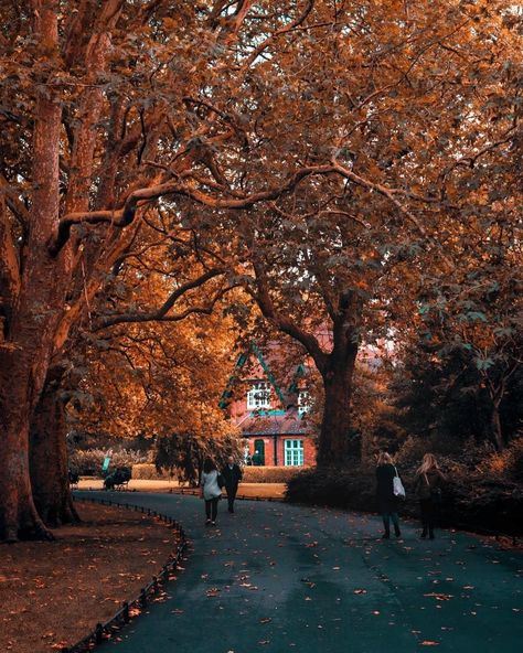 Norman Castle, Visit Dublin, Dark Hedges, St Stephen, Saint Stephen, County Cork, Green Photo, Public Park, Green Park