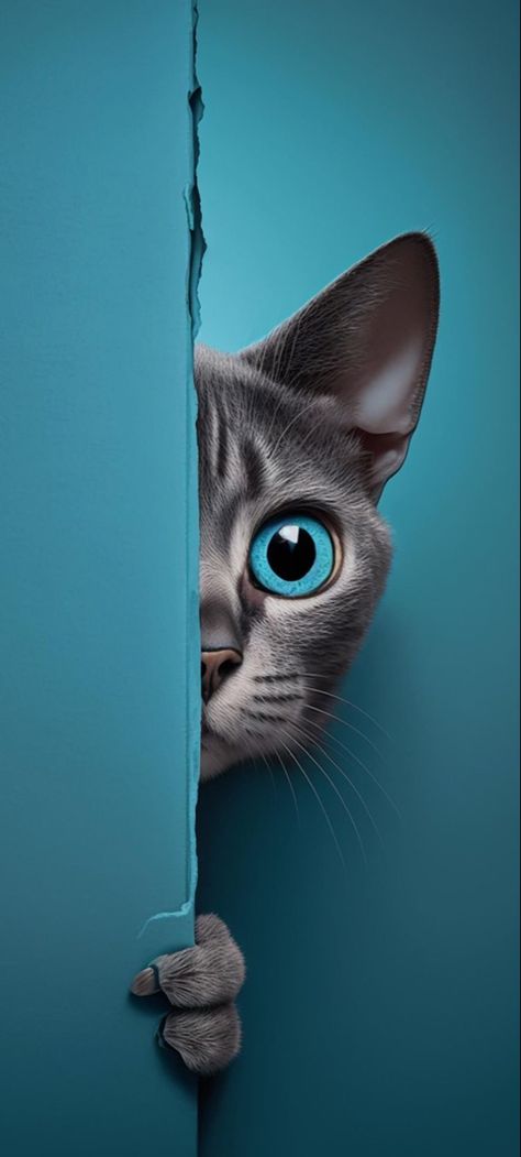 Foto Bawah Air, Cat Phone Wallpaper, الفن الرقمي, Image Moto, Seni Pop, Eagle Wallpaper, Iphone Dynamic Wallpaper, Iphone Wallpaper Stills, 강아지 그림