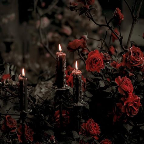 Gothic Roses Aesthetic, Dark Romantic Goth Aesthetic, Dark Red Gothic Aesthetic, Red And Black Asthetics Photos, Knife Aesthetique Dark, Vampiress Aesthetic, Dark Regal Aesthetic, Red Ghost Aesthetic, Baroque Aesthetic Dark