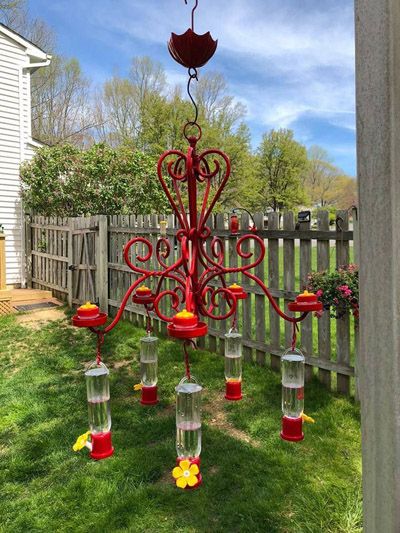 Hummingbird feeder planter shepherds hook extravaganza painted bright red with six humming bird feeders hanging from it. A large glass bowl off of a chandelier converted into a planter and solar light set in the middle of my large shepherds hook hummginbird feeder. Garden Spells, Old Chandelier, Hummingbird Feeder, Hummingbird Garden, Diy Birds, Feeding Station, Diy Chandelier, Planter Ideas, Garden Backyard