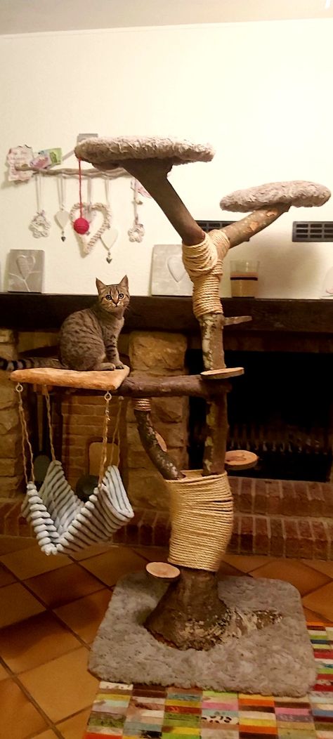 Witchy Cat Tree, Diy Large Cat Tree, Diy Wooden Cat Tree, Real Wood Cat Tree, Cat Trees And Condos, Pallet Cat Tree, Home Made Cat Tree, Cat Tree Diy Easy How To Build, Diy Cat Tree Real Branches