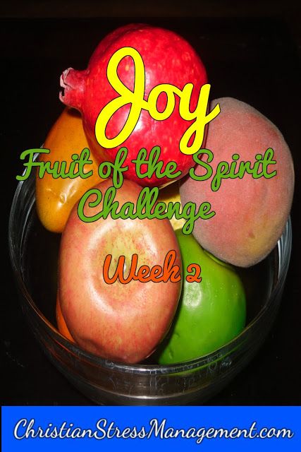 Fruit of the Spirit challenge Joy Week Gentleness Fruit Of The Spirit Craft, Fruit Of The Spirit Gentleness Craft, Gentleness Fruit Of The Spirit, Fruit Of The Spirit Gentleness, Bible Principles, Kindness Week, Loving God, About God, Relaxation Techniques