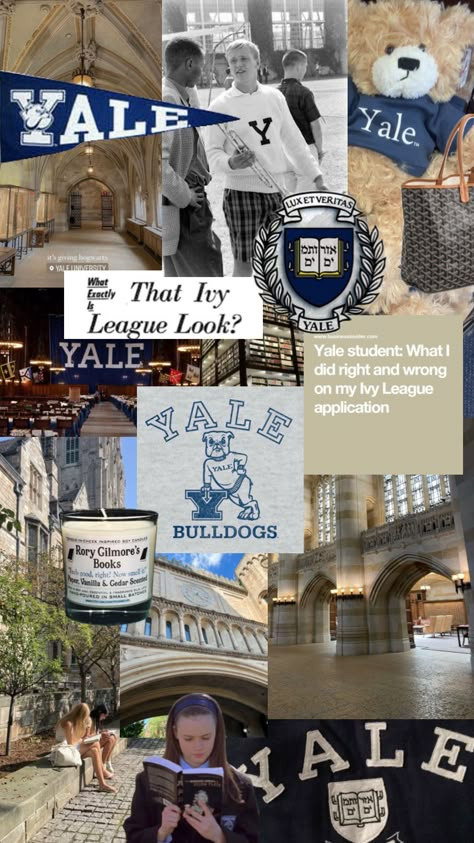 Study Mentality, How To Get Into Yale, Yale University Campus, Yale Dorm, Yale Aesthetic, Oxford Aesthetic, Yale College, Yale Law, College Image