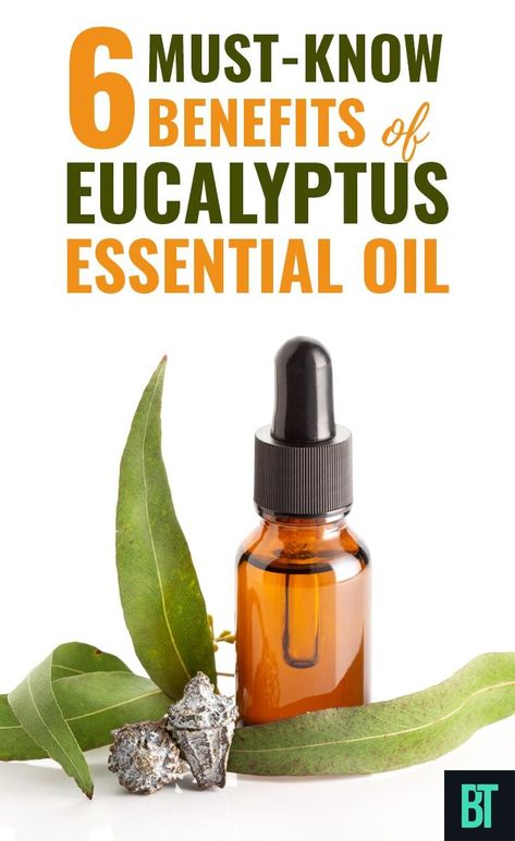 Health tips on uses, healing properties and 6 top Eucalyptus Oil benefits. How to use Eucalyptus essential oil in diffuser and topically with common health problems and in beauty treatments. #eucalyptus #eucalyptusessentialoil #aromatherapy #essentialoils #healthtips Eucalyptus Oil Benefits, Benefits Of Eucalyptus, Lavender Oil Benefits, Treat Dandruff, Rid Of Dandruff, Lavender Benefits, Essential Oil Benefits, Essential Oil Scents, Eucalyptus Oil