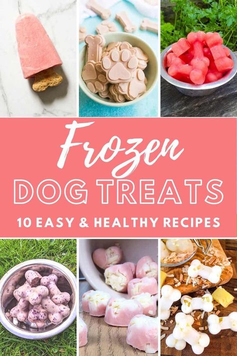 #healthydogtreats, #summertimetreats, #frozendogtreats, #healthydogrecipes, #besttreatsforchihuahuas, #easychihuahuatreats, #easydogtreats Homemade Frozen Dog Treats, Frozen Dog Treats Recipes, Frozen Dog Treats Homemade, Pet Treats Recipes, Dog Treats Homemade Easy, Easy Dog Treat Recipes, Frozen Dog Treats, Dog Biscuit Recipes, Easy Dog Treats