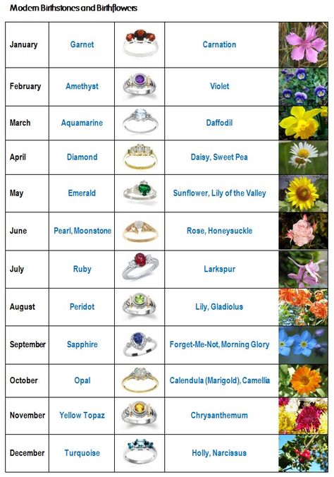 August+Birth+Month+Flower | Birth stones and birth flowers - Kiwi Families Flower Of The Month Chart, Flower Facts, Stones Tattoo, Tattoo Chart, Birthday Month Flowers, Birth Stones Chart, Birth Stones, Soya Mumu, Birth Flower Tattoos