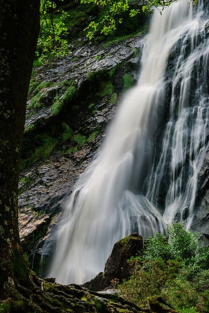 powerscourt waterfall - enniskerry ireland | Flickr - Photo Sharing! Enniskerry Ireland, Powerscourt Waterfall, Krka Waterfalls, Split Croatia, Tourist Guide, Scottish Islands, Emerald Isle, British Isles, Oh The Places Youll Go