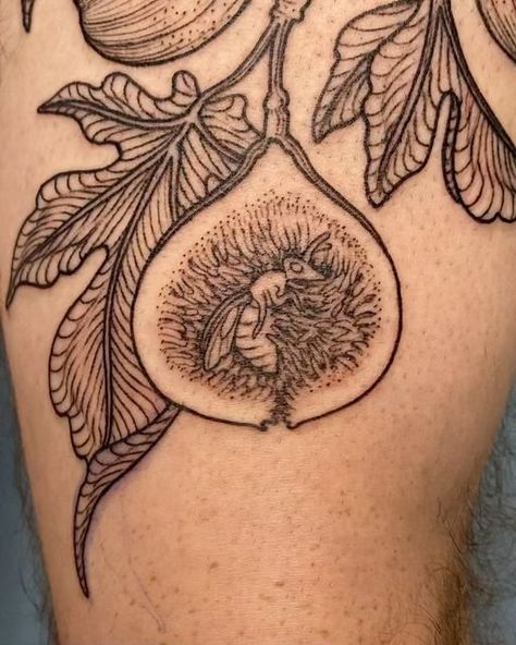 Maggie on Instagram: "Fig wasps 😊 Thank you Sam!" Fig Beetle Tattoo, Mole Animal Tattoo, Fig Flower Tattoo, Fig Leaves Tattoo, Fig Branch Tattoo, Fruit Tattoo Sleeve, Orchard Tattoo, Decay Tattoo, Fig Leaf Tattoo